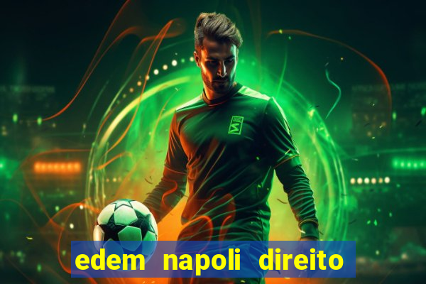 edem napoli direito constitucional pdf